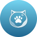 Icy Paws