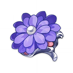 Clam